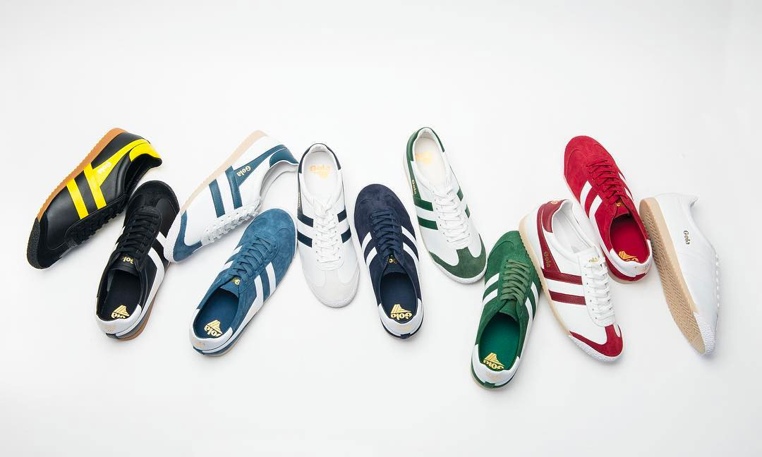 50 Years of the Gola Harrier 50 Years of the Gola Harrier